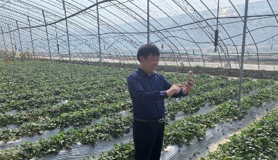 青岛：科技春耕助力乡村振兴