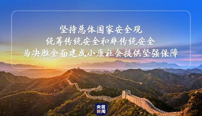 戰(zhàn)“疫”中，讀懂習(xí)近平總體國家安全觀的深意