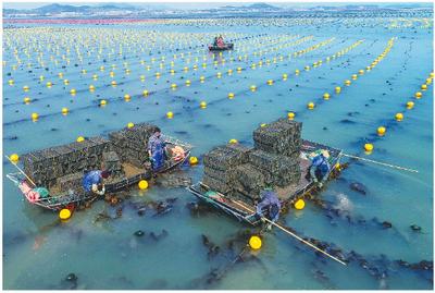 经济深观察|境外疫情蔓延，外向型农业力拓新市场