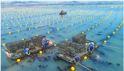 經濟深觀察|境外疫情蔓延，外向型農業力拓新市場