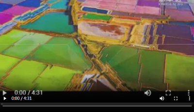 "齊"心"魯"力|融合“三生三美”打造鄉村振興齊魯樣板