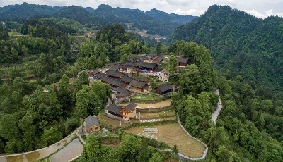 山東代表團分組學習習近平總書記在內蒙古代表團的重要講話審議政府工作報告