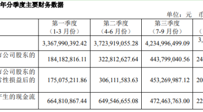 賽輪輪胎：2019年凈利同比增近八成