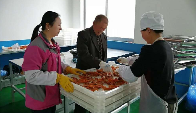 “齊”心“魯”力|山東蓬萊：合作社圓了獨臂老人“脫貧夢”