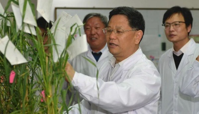 山東農業大學一科研成果登上《科學》雜志封面