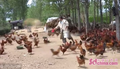 這就是山東|產(chǎn)業(yè)脫貧、健康扶貧，山東各地精準(zhǔn)施策打贏脫貧攻堅(jiān)戰(zhàn)！