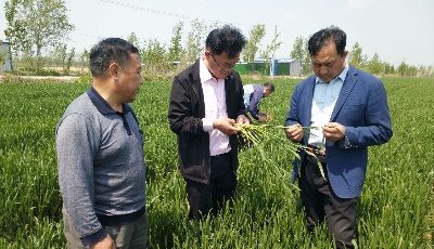 這就是山東｜“數”看山東這一年