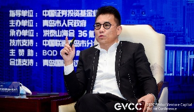 洪泰基金创始人盛希泰：“超级黑天鹅”加速中国成为创投风投中心