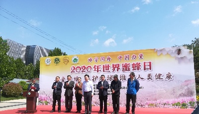 青岛市举办2020年“世界蜜蜂日”系列活动