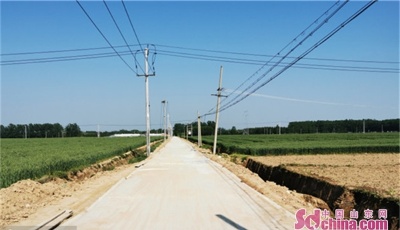 這就是山東|美化庭院、危房改造，山東提升群眾幸福感，繪就鄉(xiāng)村新畫卷!