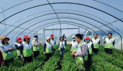 新苗茁壮植沃土  青岛市农业农村局构筑青年人才成长平台