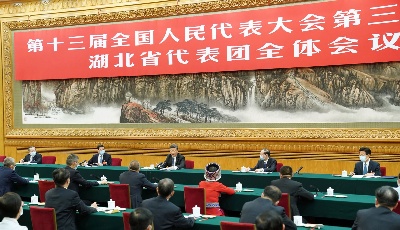 習近平“下團組”：我提出，湖北代表團一定得來一下