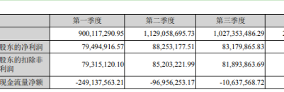 國恩股份:2019年凈利潤增長28.39%