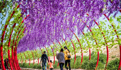 準確識變、科學應變、主動求變 山東按下文旅發展“復蘇鍵”