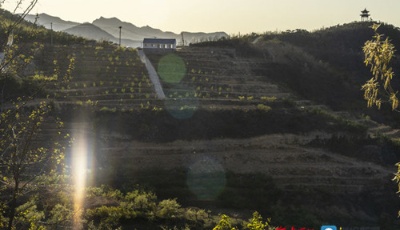 山東省委書記劉家義代表：努力打造鄉村振興的齊魯樣板