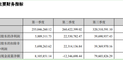 中魯遠(yuǎn)洋：2019年實(shí)現(xiàn)凈利潤(rùn)8231.16萬(wàn)元 