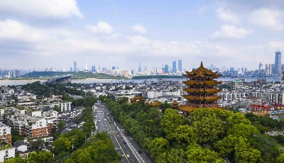 從習近平“下團組”看“中國之治”新篇章