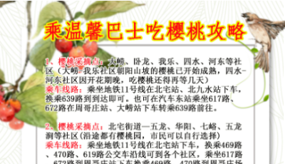 又到櫻桃成熟季  溫馨巴士發(fā)攻略助力市民直達(dá)櫻桃點(diǎn)