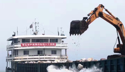 挺进海洋牧场 筑实“蓝色粮仓”