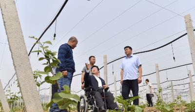 蹲點(diǎn)看履職｜全國人大代表孫建博：34年堅(jiān)守綠色初心，履職永遠(yuǎn)在路上