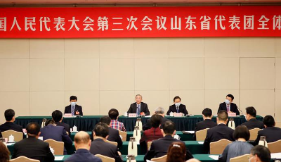 十三屆全國(guó)人大三次會(huì)議山東代表團(tuán)成立 推選劉家義為團(tuán)長(zhǎng)