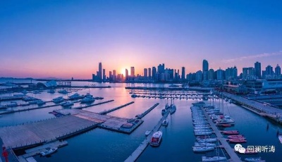 兩會看青島｜疫情也打不斷的青島之勢：開放大勢、工業(yè)互聯(lián)網(wǎng)銳勢、頂格協(xié)調(diào)陣勢