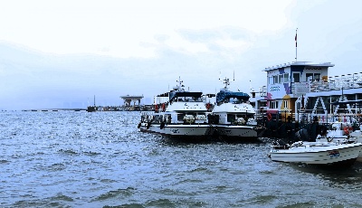 青岛发布大风预警沿海客船全部停航