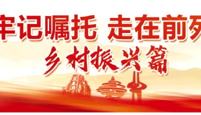 山東深入貫徹落實習近平總書記重要指示要求紀實⑤：助力鄉村振興，給農業插上科技翅膀