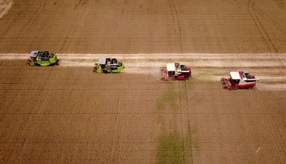 "齊"心"魯"力|山東：服務精細化 種糧更省心