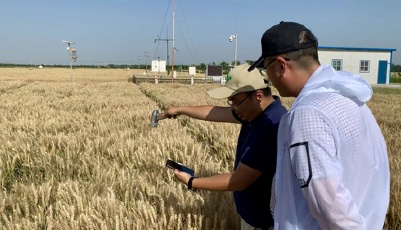 "齊"心"魯"力|新農機 新農技 新農基——山東農忙一線那些新鮮事