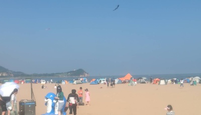 海水浴场7月1日正式开放  第六海水浴场推迟开放