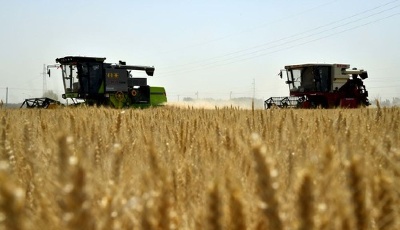 山東“六保”在行動｜新農技引領，山東為百姓扎緊“糧袋子”