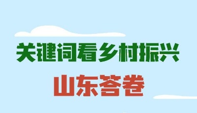 政能量｜關(guān)鍵詞看鄉(xiāng)村振興“山東答卷”