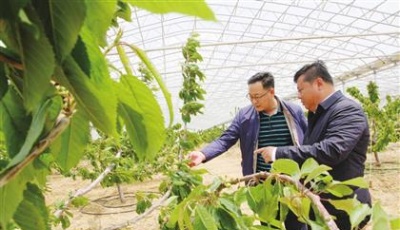 洋河：寫在大地上的詩篇