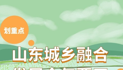 一圖劃重點|試行常住地落戶、農民工實名制…山東城鄉融合發展今年要干這些大事