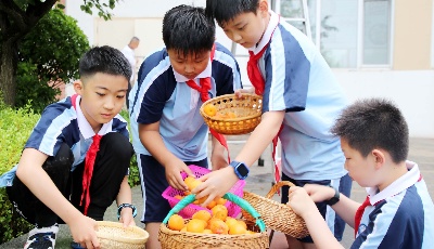青島西海岸新區(qū)齊魯第一實驗小學第一屆采摘節(jié)