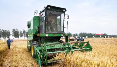 "齊"心"魯"力|不用彎腰的麥?zhǔn)? title=