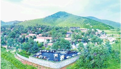 打造鄉村振興齊魯樣板·系列述評④ 做好統籌文章，打好鄉村振興“組合拳”