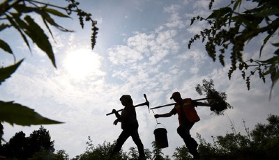 "齊"心"魯"力|深山護林夫妻的綠色堅守