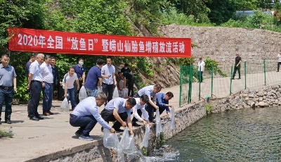活动六：青岛市举办仙胎鱼增殖放流活动