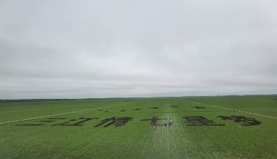 走向我們的小康生活 | 牢記總書記囑托，始終端穩中國飯碗