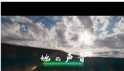 活动三：听，这是什么声音？2020海洋日短片《她的声音》对外发布