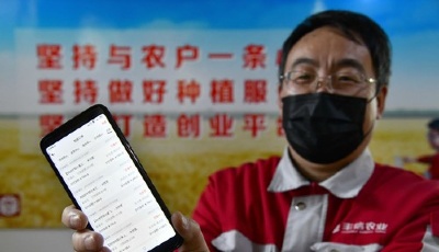 "齊"心"魯"力|特殊之年夏糧豐收背后的特殊之舉