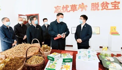 “真正做到為官一任，造福一方” ——習(xí)近平論夯實(shí)脫貧攻堅(jiān)的人才支撐