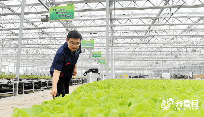 我們村的年輕人｜青島海歸小伙回鄉種地用上高科技 給胡蘿卜“照CT”選顏值