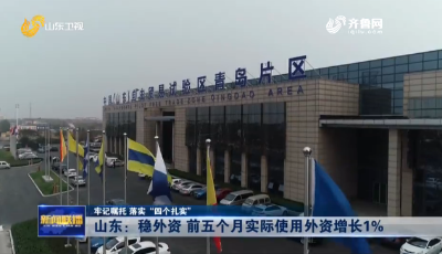 山東“硬核”舉措穩外資！用好自貿試驗區等開放平臺，前五個月實際使用外資增長1%
