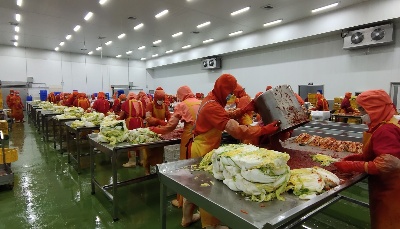 “危”中尋機  青島海澳特食品公司訂單增四成  