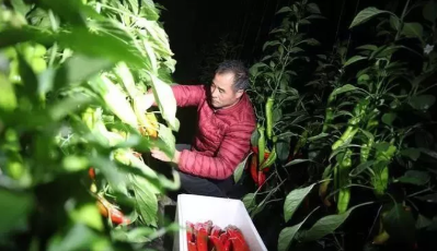 風云上半年|山東這些瞬間，再次重溫仍讓人溫暖