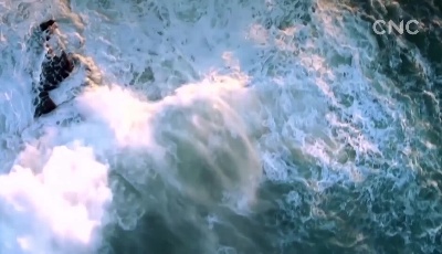 【視頻】乘風破浪 中國外貿如何危中尋機？