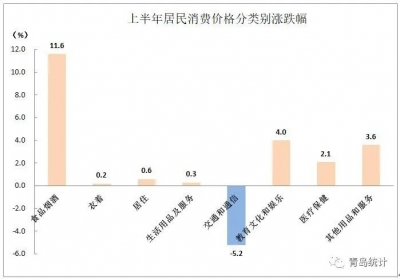 解读青岛经济半年报：居民消费价格同比上涨3.9%